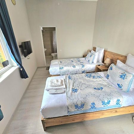 Hilltop Guest House كوتايسي المظهر الخارجي الصورة