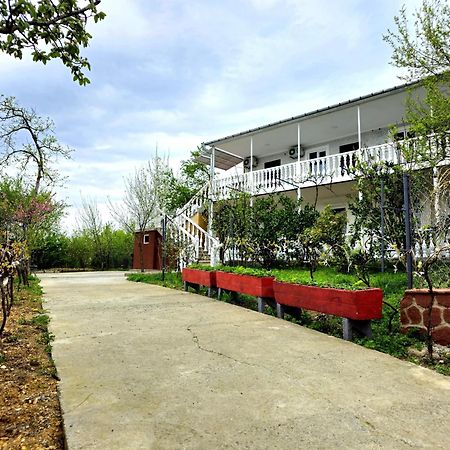 Hilltop Guest House كوتايسي المظهر الخارجي الصورة