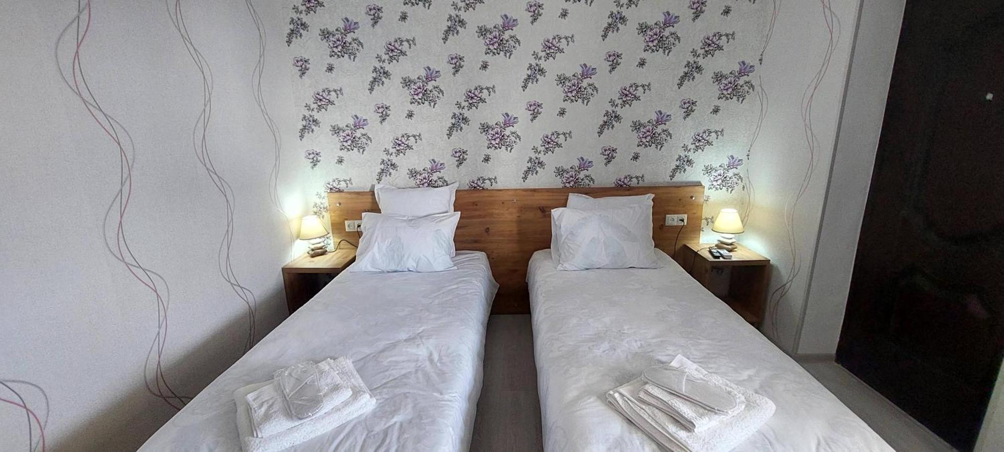 Hilltop Guest House كوتايسي المظهر الخارجي الصورة