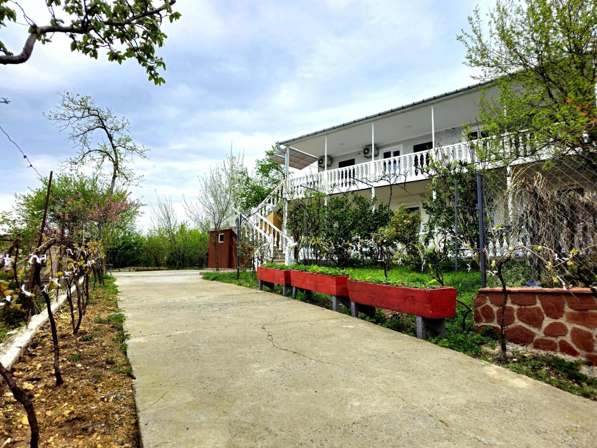 Hilltop Guest House كوتايسي المظهر الخارجي الصورة